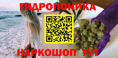 герыч Кингисепп