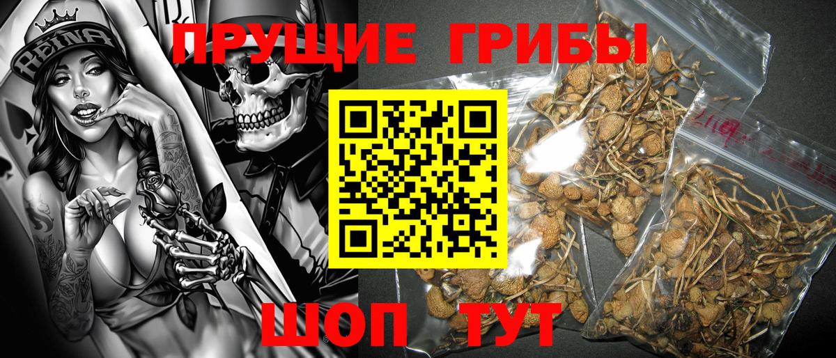 Кубинка  Псилоцибиновые грибы Magic Shrooms  Вход с VPN  Галлюциногенные грибы Cubensis 