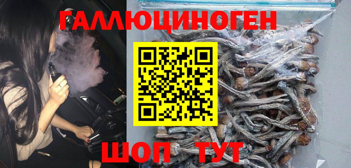 ГАШ Кубинка